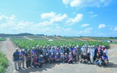 KURSUS AMALAN PERTANIAN BAIK (GOOD AGRICULTURAL PRACTICES -GAP) FELDA